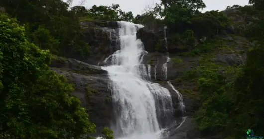 Attukad Waterfalls